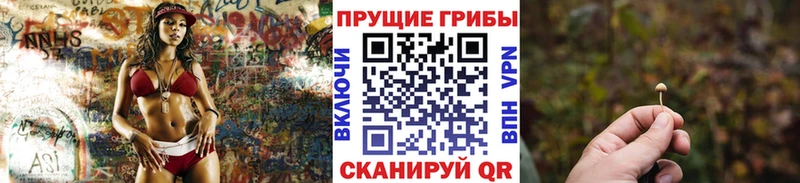 kraken ССЫЛКА  что такое наркотик  Монино  Псилоцибиновые грибы мухоморы 