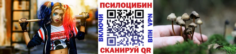 Псилоцибиновые грибы мицелий Монино